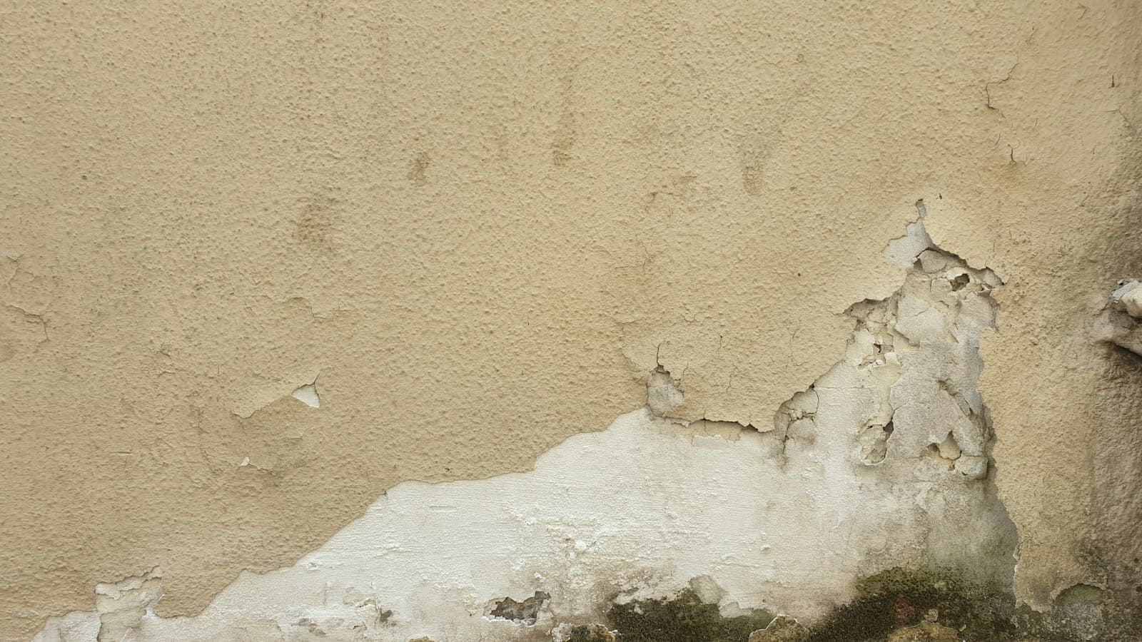 Pared de yeso beige con la pintura desconchada y verdín en la parte de abajo, por la humedad.